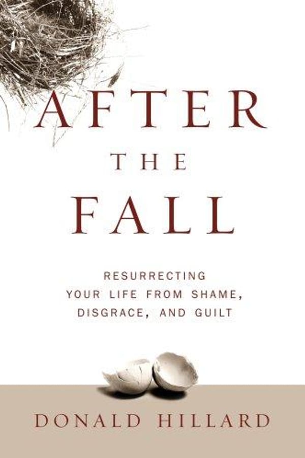 Cover of After the Fall by Donald Hilliard, Jr.